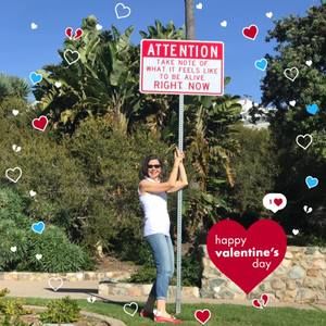 Meet your Posher, Ellen